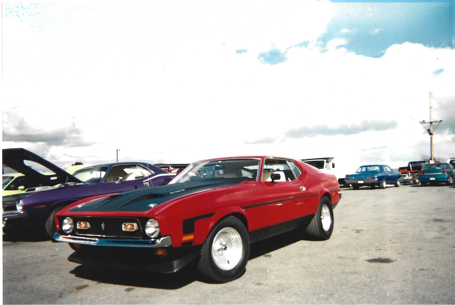 Jimmys Purple Cuda